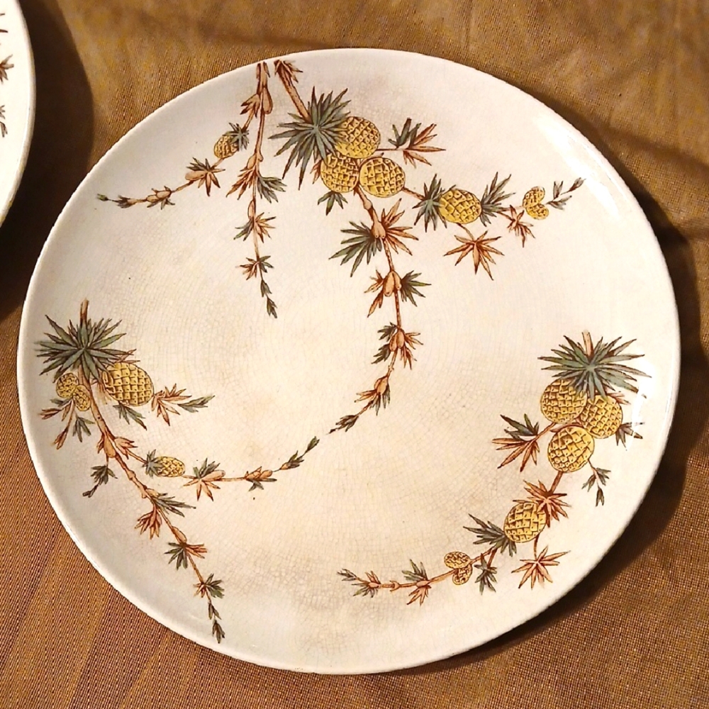 Floral "CENIS" Patterned 1871 Ridgway Plates